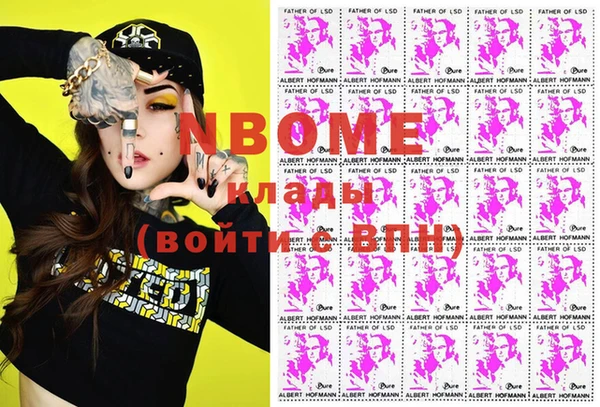 хмурый Арсеньев