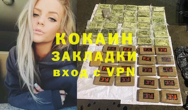 хмурый Арсеньев