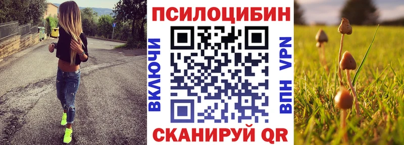 Галлюциногенные грибы мухоморы Курган