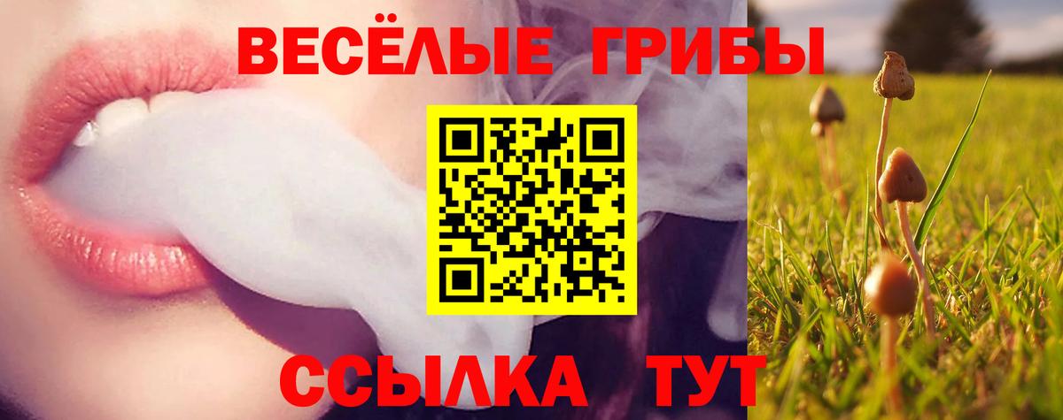 Курган  Псилоцибиновые грибы Cubensis  Вход с VPN 